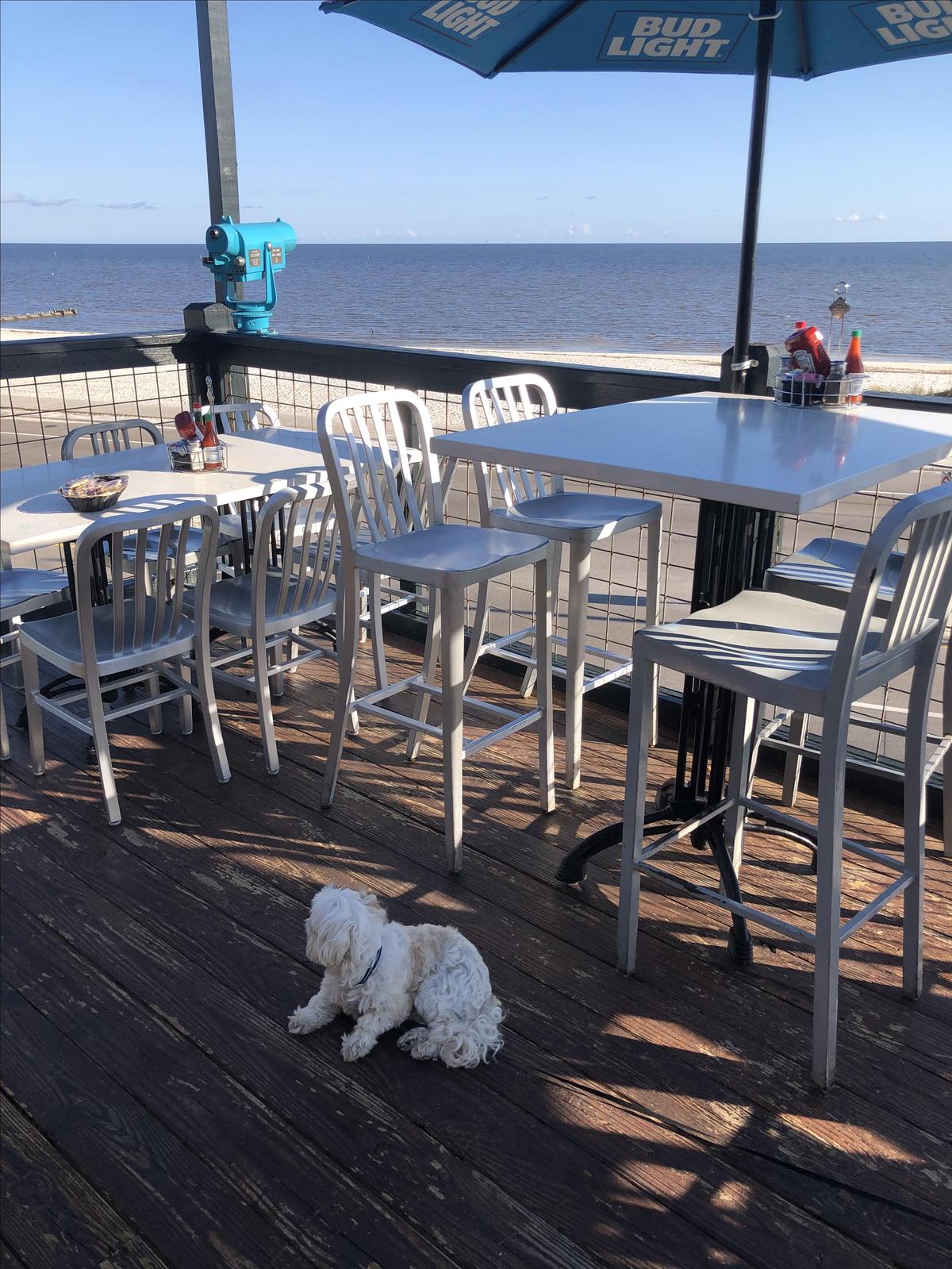 Felix's Restaurant & Oyster Bar restaurant view 3