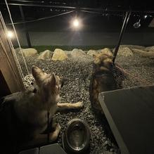 Mason's Brewing Co. restaurant view 8