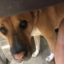 Fran's Family Restaurant restaurant view 1