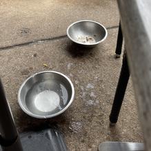 Iron Horse York restaurant view 2