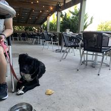 Pangea Tavern restaurant view 2