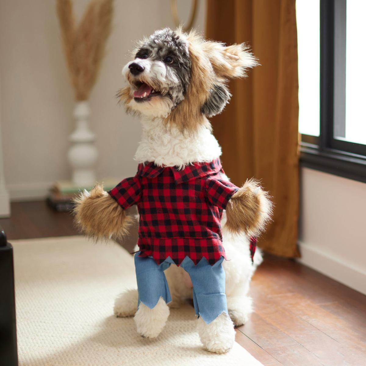 Werewolf costume outlet for dogs