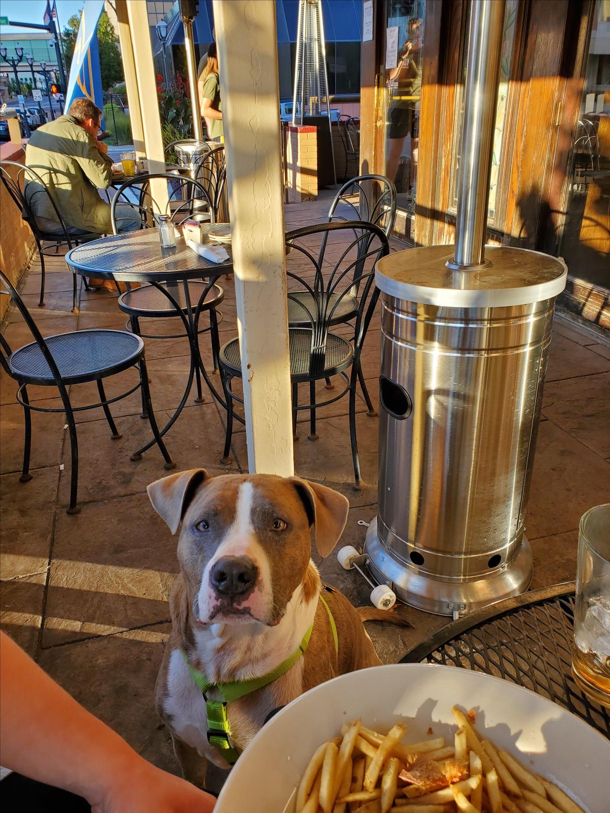 C.J. Muggs restaurant view 2