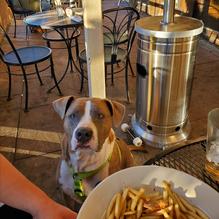 C.J. Muggs restaurant view 2