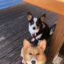 Whiskey River Sports Bar & Grill restaurant view 5