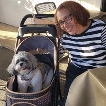 Farmhouse Cafe restaurant view 1