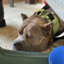 Arenas Deli and Bar restaurant view 1