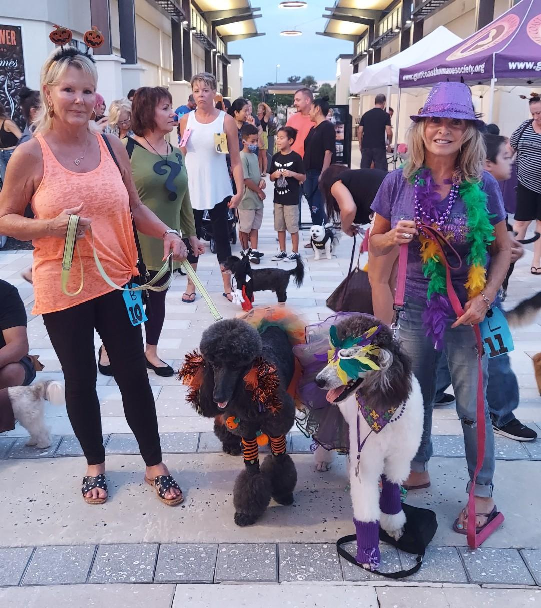 Pet Friendly Howl O Ween Yappy Hour at Bell Tower Shops