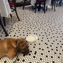 Pistache French Bistro restaurant view 2