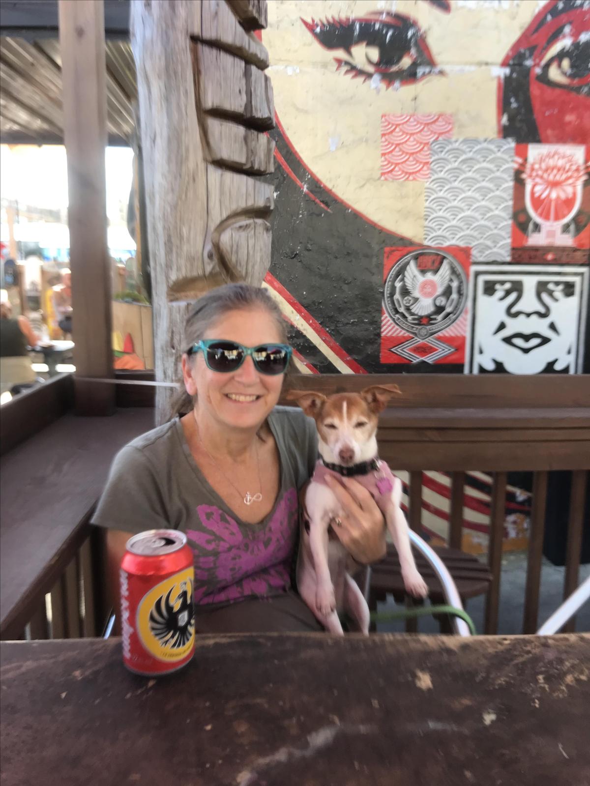 Nollie's Taco Joint restaurant view 3