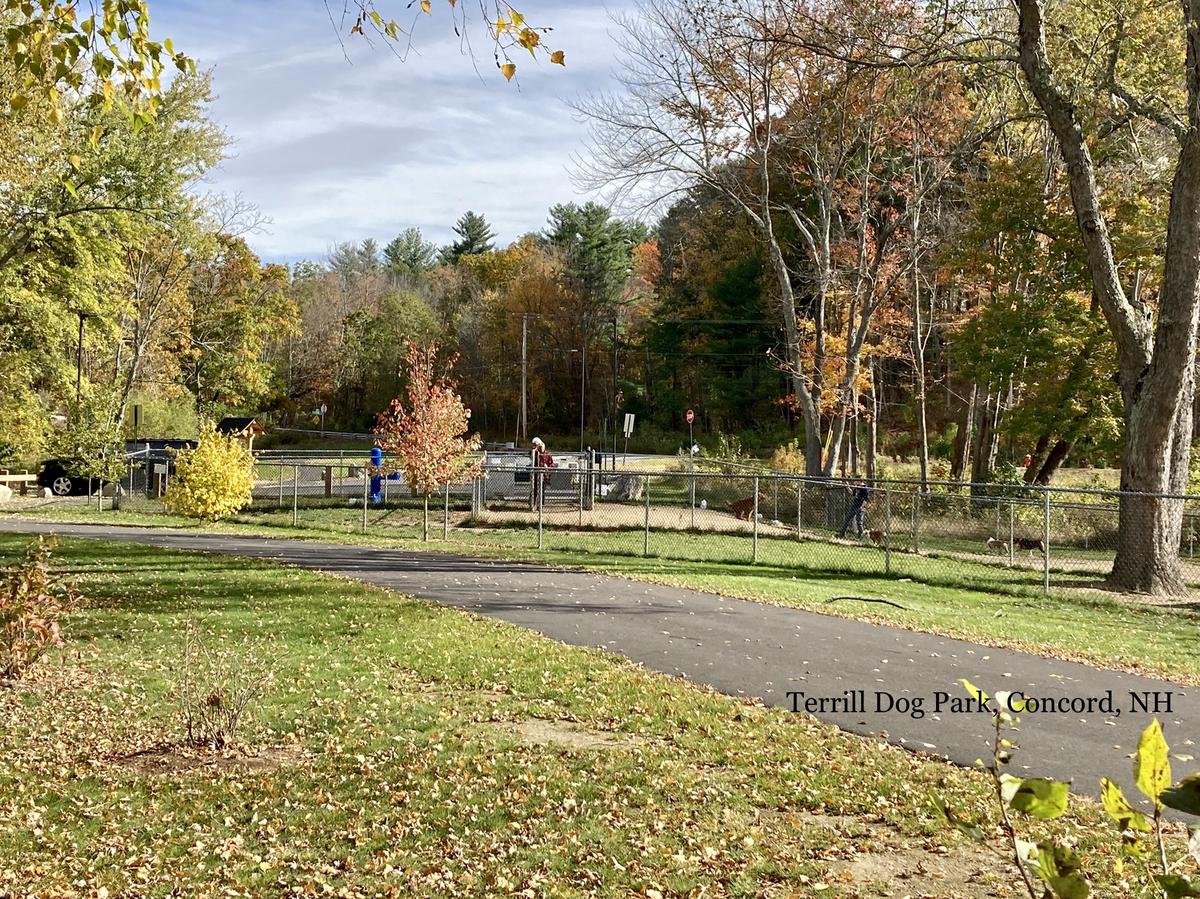 Concord dog park on sale