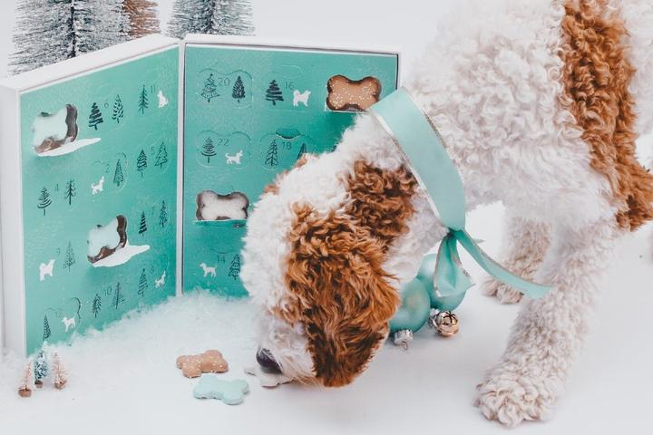 Advent Calendars for Dogs