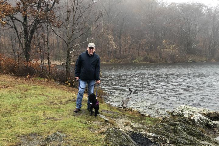 Pet Friendly Pittsfield State Forest