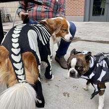 El Segundo restaurant view 1