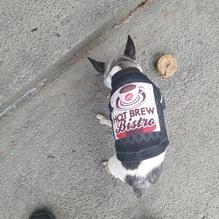 Hot Brew restaurant view 5