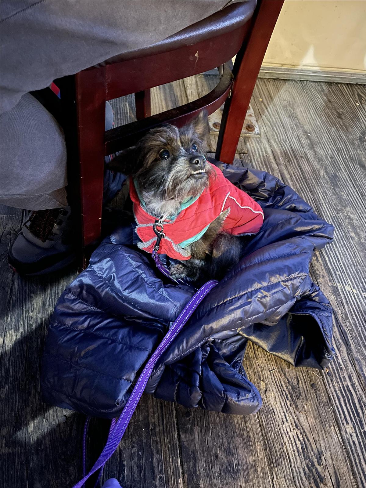 Joey C's Boathouse Cantina & Grill restaurant view 5