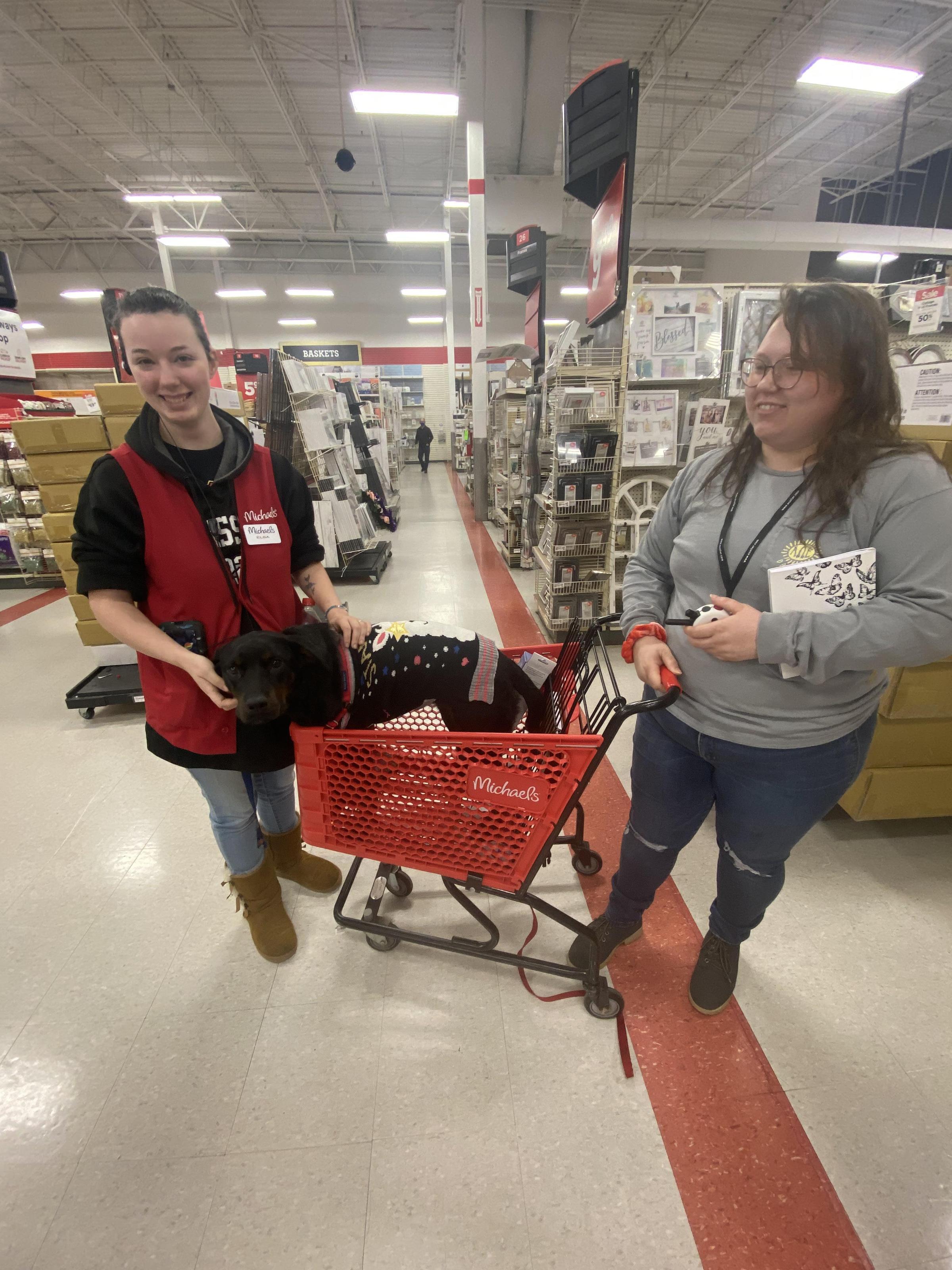 are dogs allowed in michaels stores