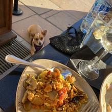 Dishdash restaurant view 1