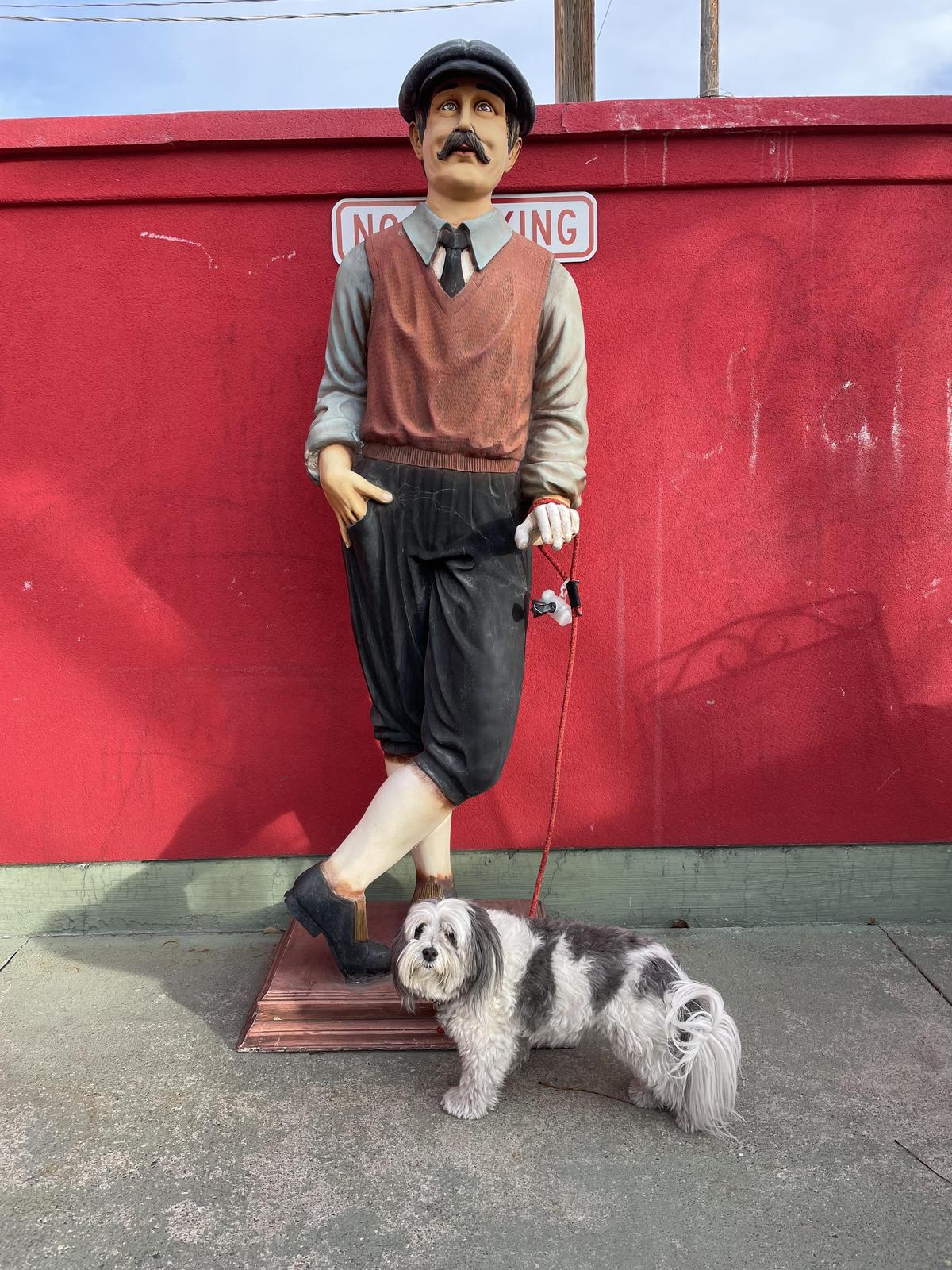 Paizano's restaurant view 2