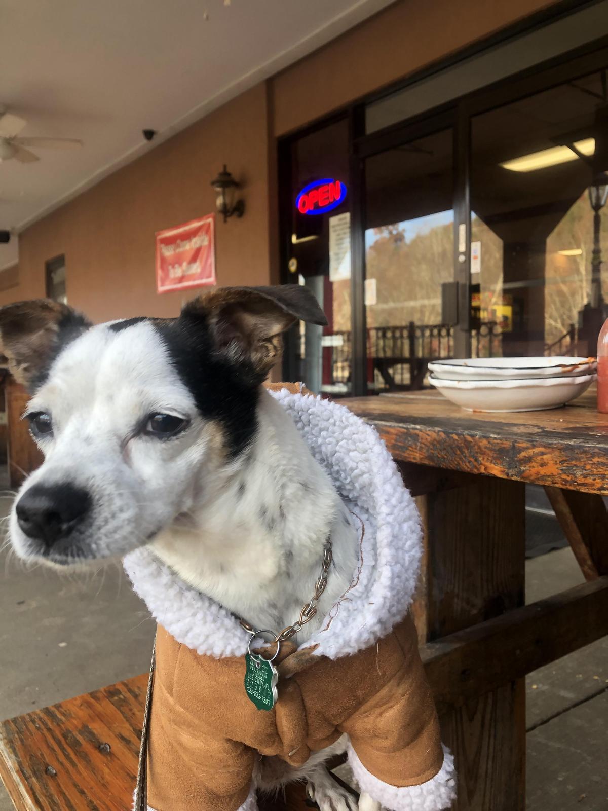 La Cabana Mexican Restaurant restaurant view 2