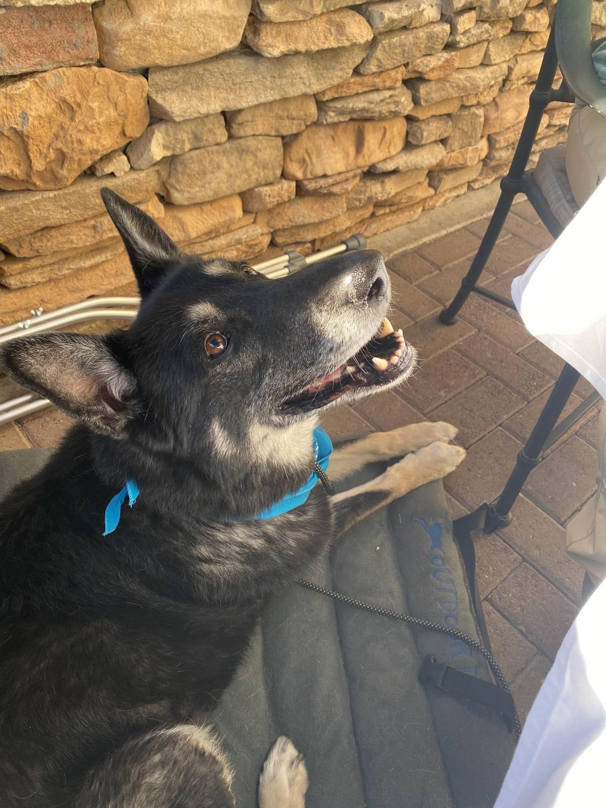 The Capital Grille restaurant view 2