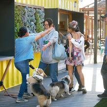 SteelCraft restaurant view 1