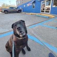 Columbia Street Seafood restaurant view 1