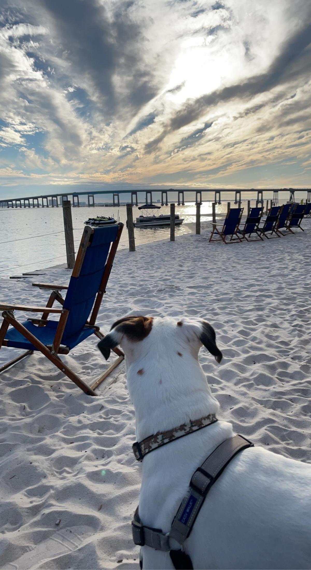 Dewey Destin's restaurant view 6