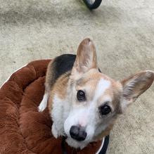 Off the Hook Bar & Grill restaurant view 3