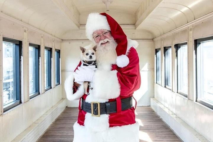 Santa with a puppy on a pet-friendly train.