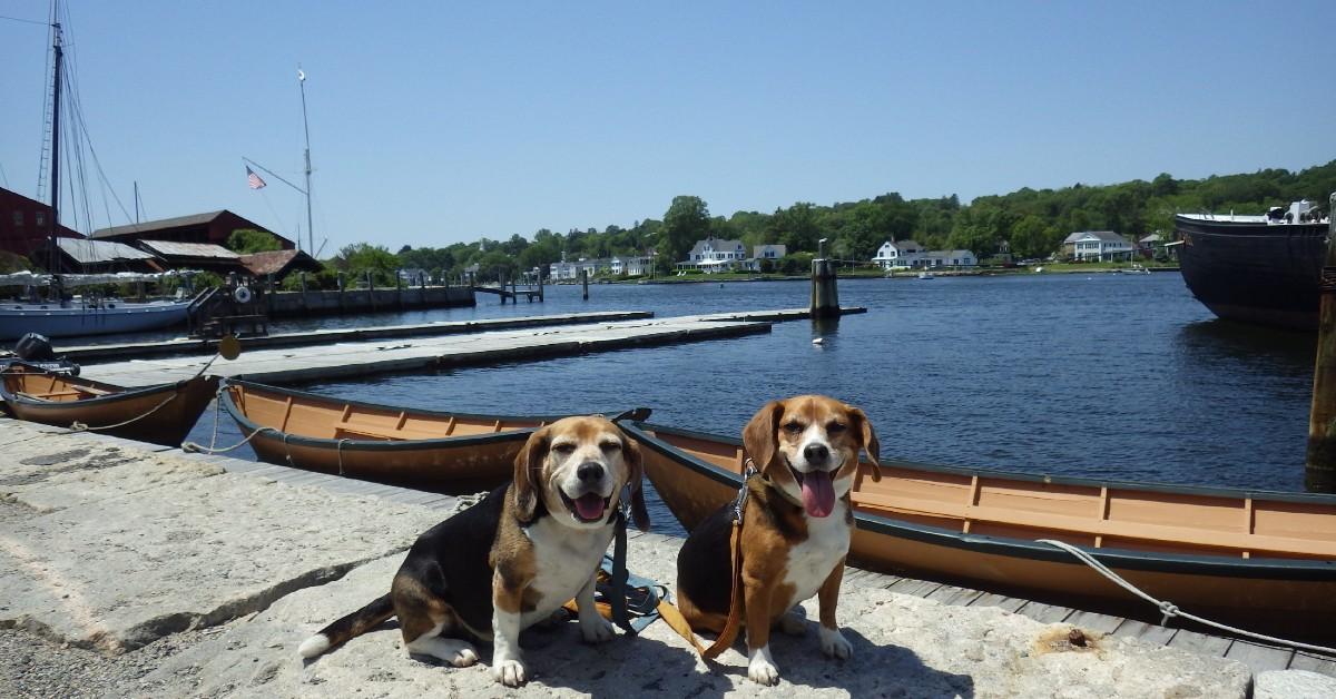 Double the fun at Mystic Seaport.