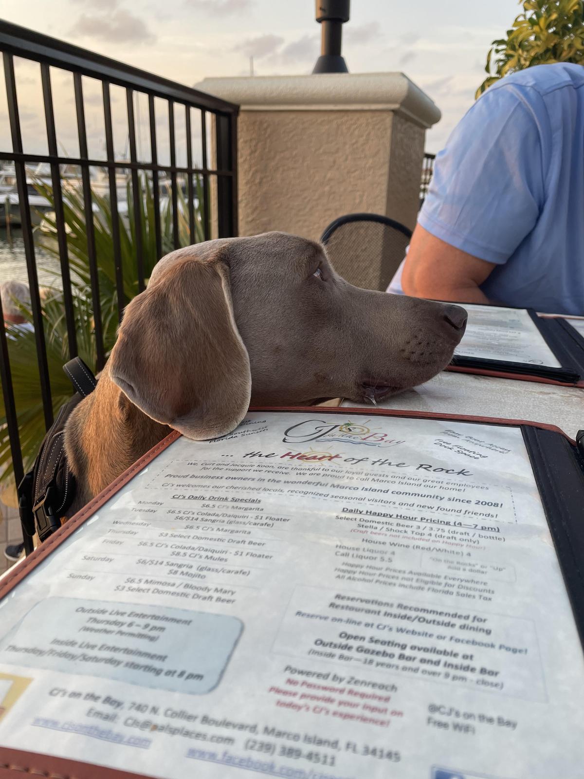 CJ's on the Bay restaurant view 1