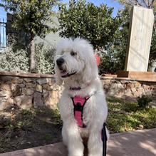 The Kitchen at 150 Sunset restaurant view 1
