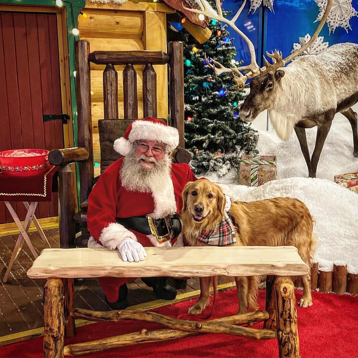 Bass pro allow dogs outlet