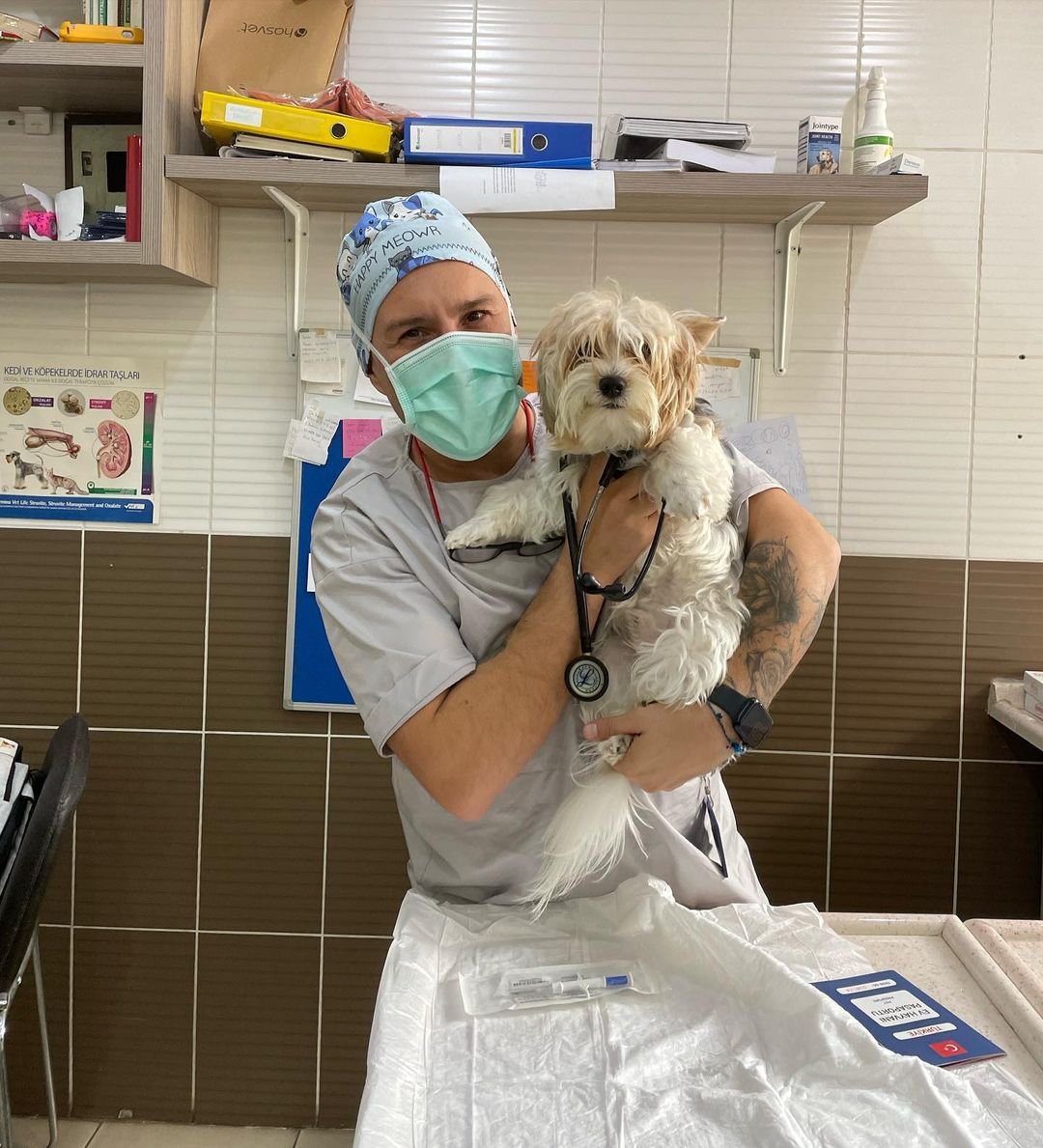 A dog gets ready to be microchipped.