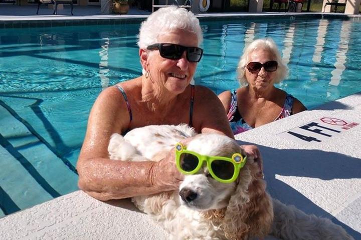 A dog hangs out by the pool with his pet parents.