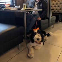 Campestre restaurant view 2