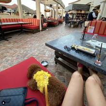 Cafe Sevilla Long Beach restaurant view 1