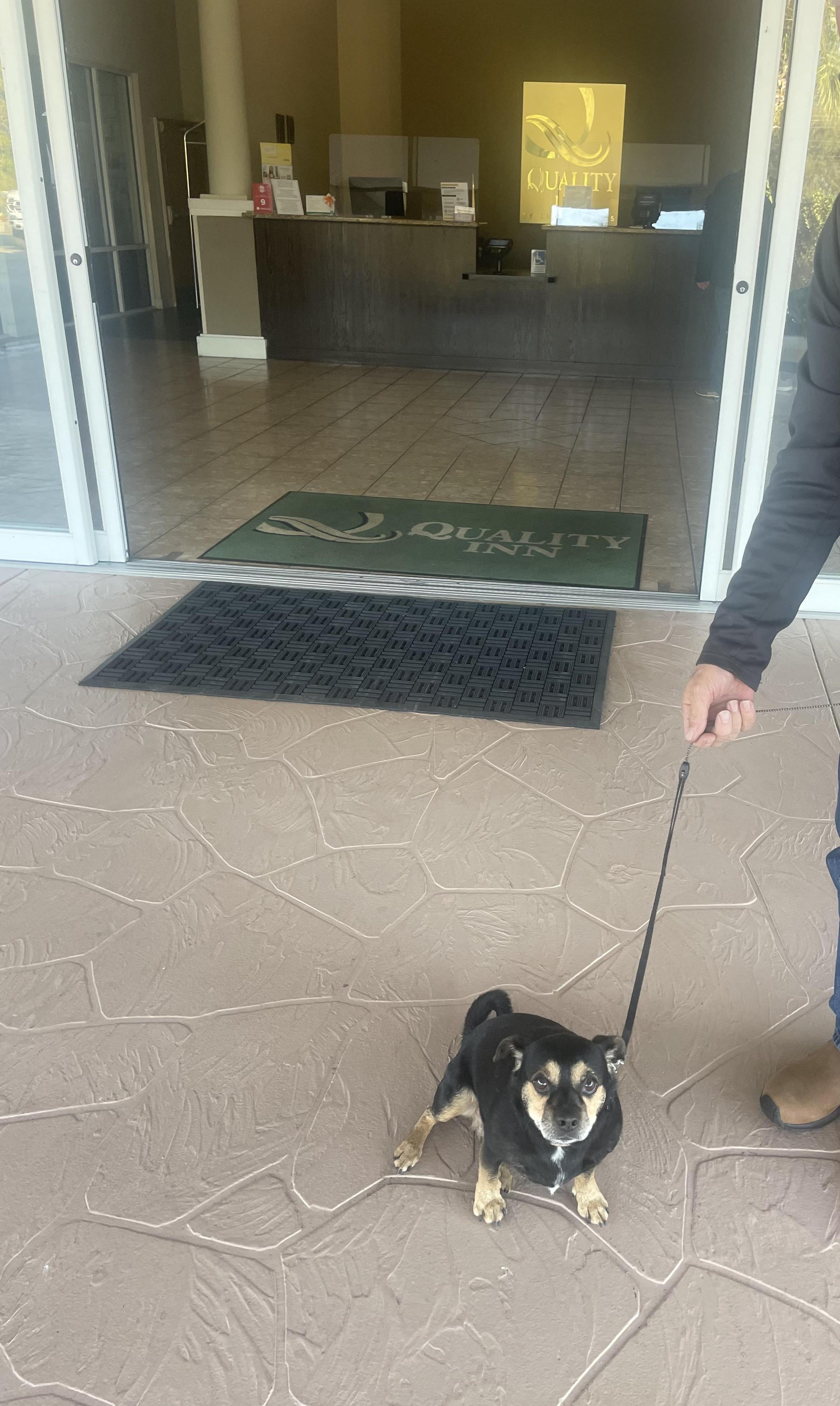 Fido at Quality Inn in Hernando ⋆ BringFido