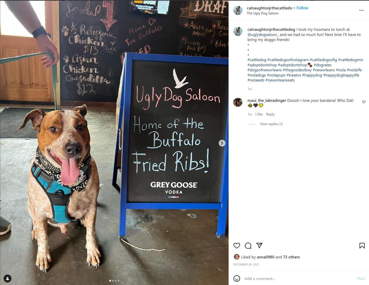 Ugly Dog Saloon & BBQ restaurant view 3