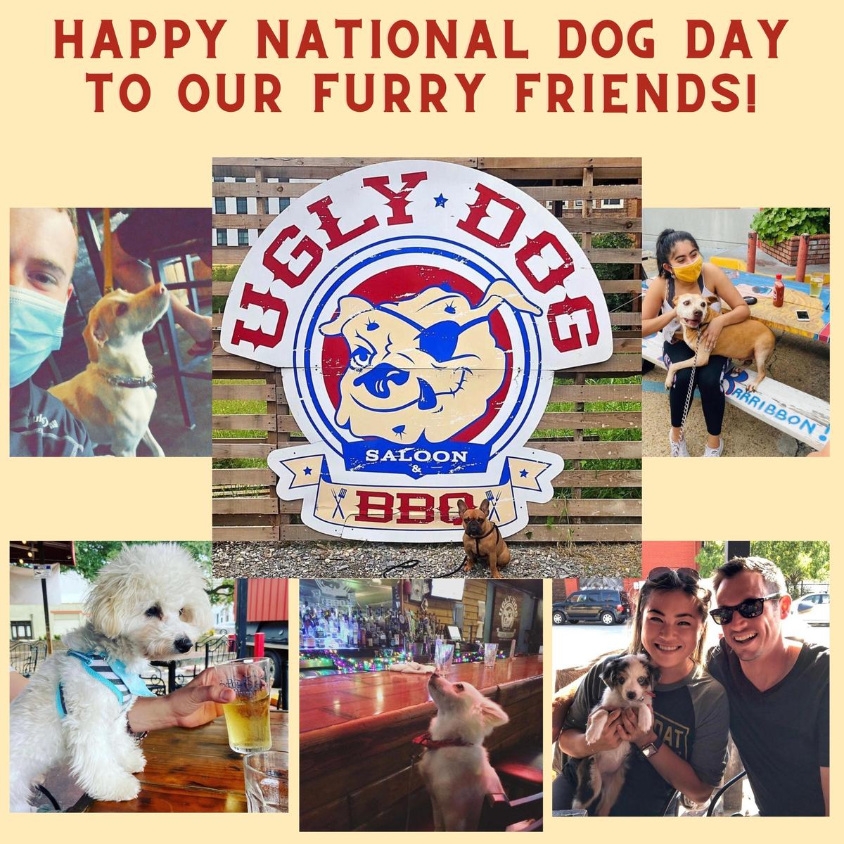 Ugly Dog Saloon & BBQ restaurant view 4