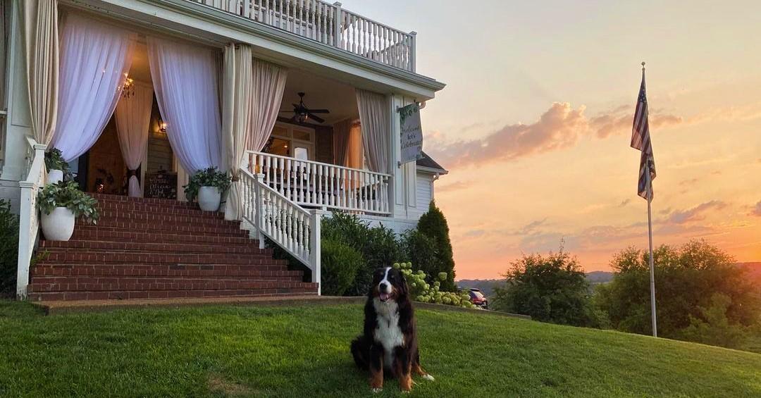 The Most Luxurious Dog-Friendly Airbnb in Every State