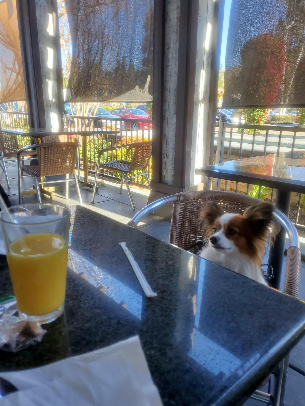 Crest Cafe restaurant view 2