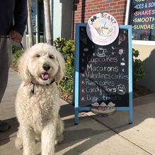 CoolBeanz restaurant view 1