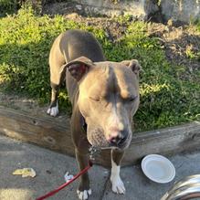 Miramar Beach Restaurant restaurant view 1