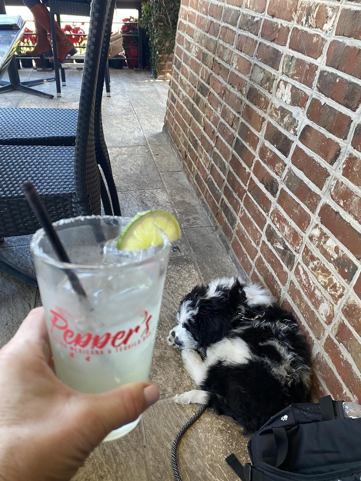 Pepper's Mexican Grill & Cantina restaurant view 1