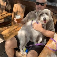 Hops on Birch restaurant view 4