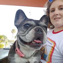 Pom Pom’s Teahouse & Sandwicheria restaurant view 2