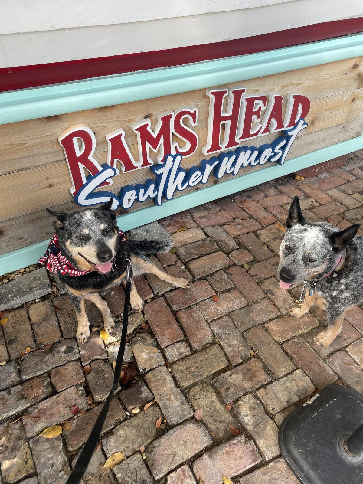 Rams Head Southernmost restaurant view 2