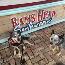Rams Head Southernmost restaurant view 2
